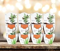 Vista 6 de BUZZY Seeds Radiant Collection 12-Pack – All-in-One Mini Terracotta Seed Starter Kit for Herbs, Succulents, and Trees, Includes Aloe, Christmas