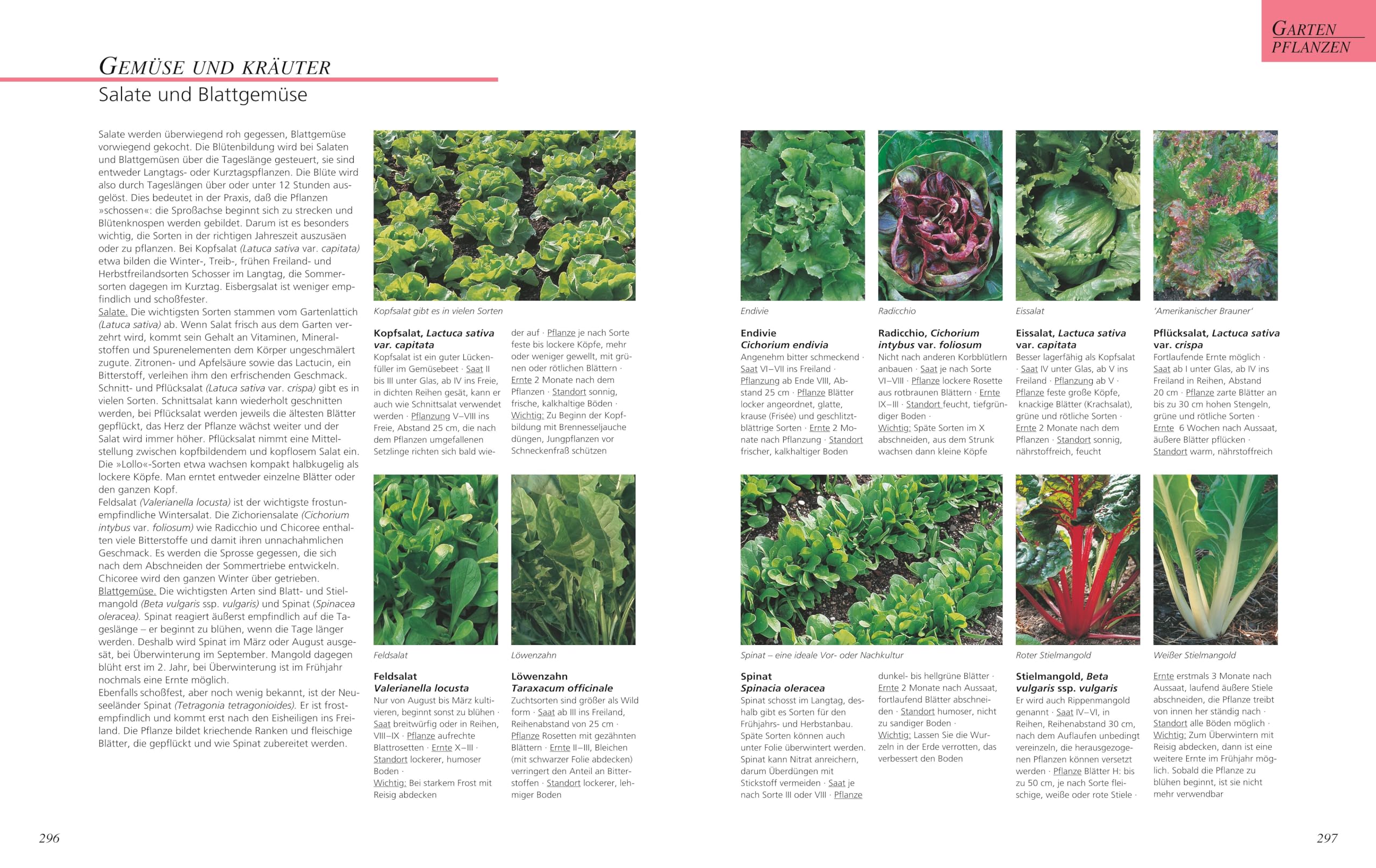 Das große GU Gartenbuch: Das Standardwerk für jeden Gartenliebhaber zu Pflanzenpflege, Gartengestaltung und Gartenpraxis | Garten-Ratgeber