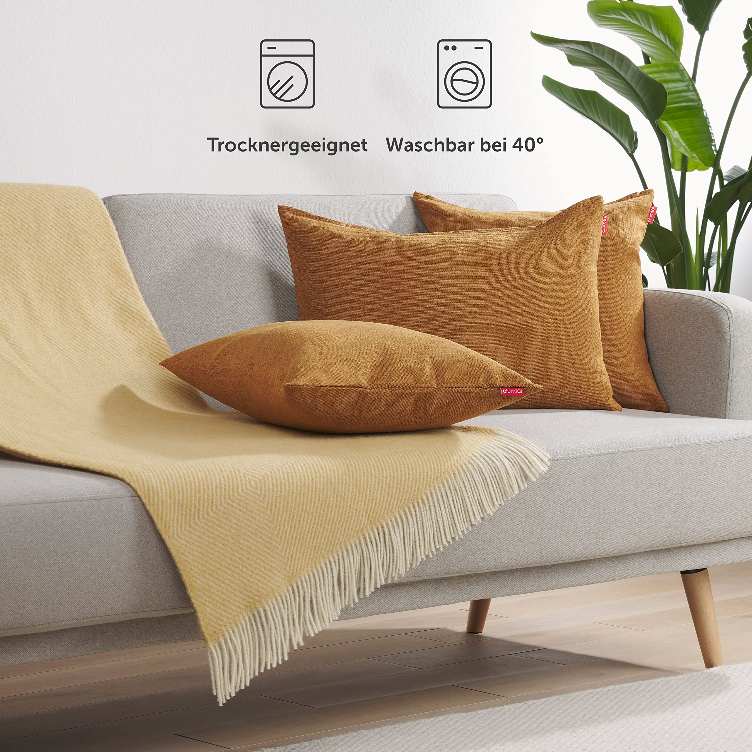 Blumtal zestaw 2 poszewek 60x60 antracyt – miękkie poszewki chenille z ukrytym zamkiem, certyfikowane przez Oeko-Tex, na poduszki dekoracyjne, sofy, poduszki siedziskowe i ozdobne