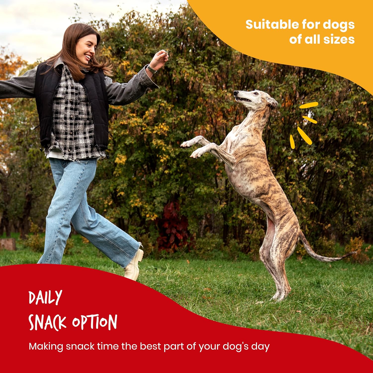 Dog Treats - Munchy Chicken Dumbbells 2.11oz, Case if 12 | Dog Food Savory Real Chicken & Beef Hide Treats | High Protein & Low Fat | Training Treats For All Dog Sizes | BEEFEATERS (Pack of 2)