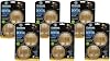 Everlasting 6 Pack Treat Large Chicken Made in The USA