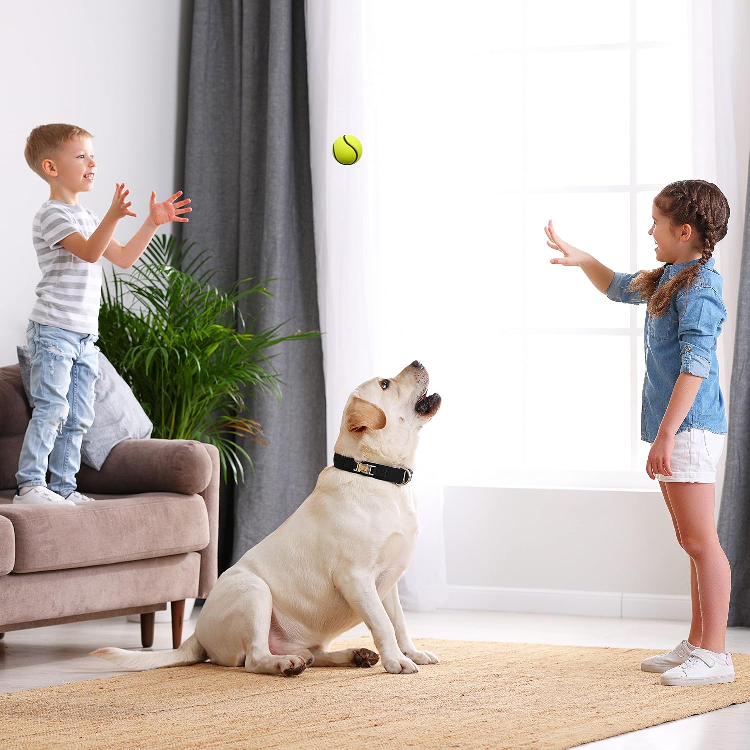 THE TWIDDLERS, 15 Soft Rubber Toy Balls, 6cm, Vibrant Colour Rubber Dog Balls or Interactive Kids Play - Image 3
