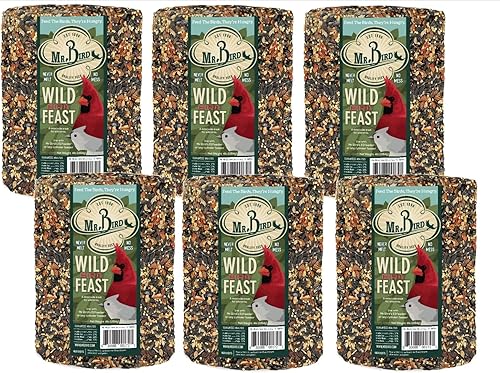 Mr. Bird Wild Bird Feast Birdseed Cilindro - 6 Diámetro