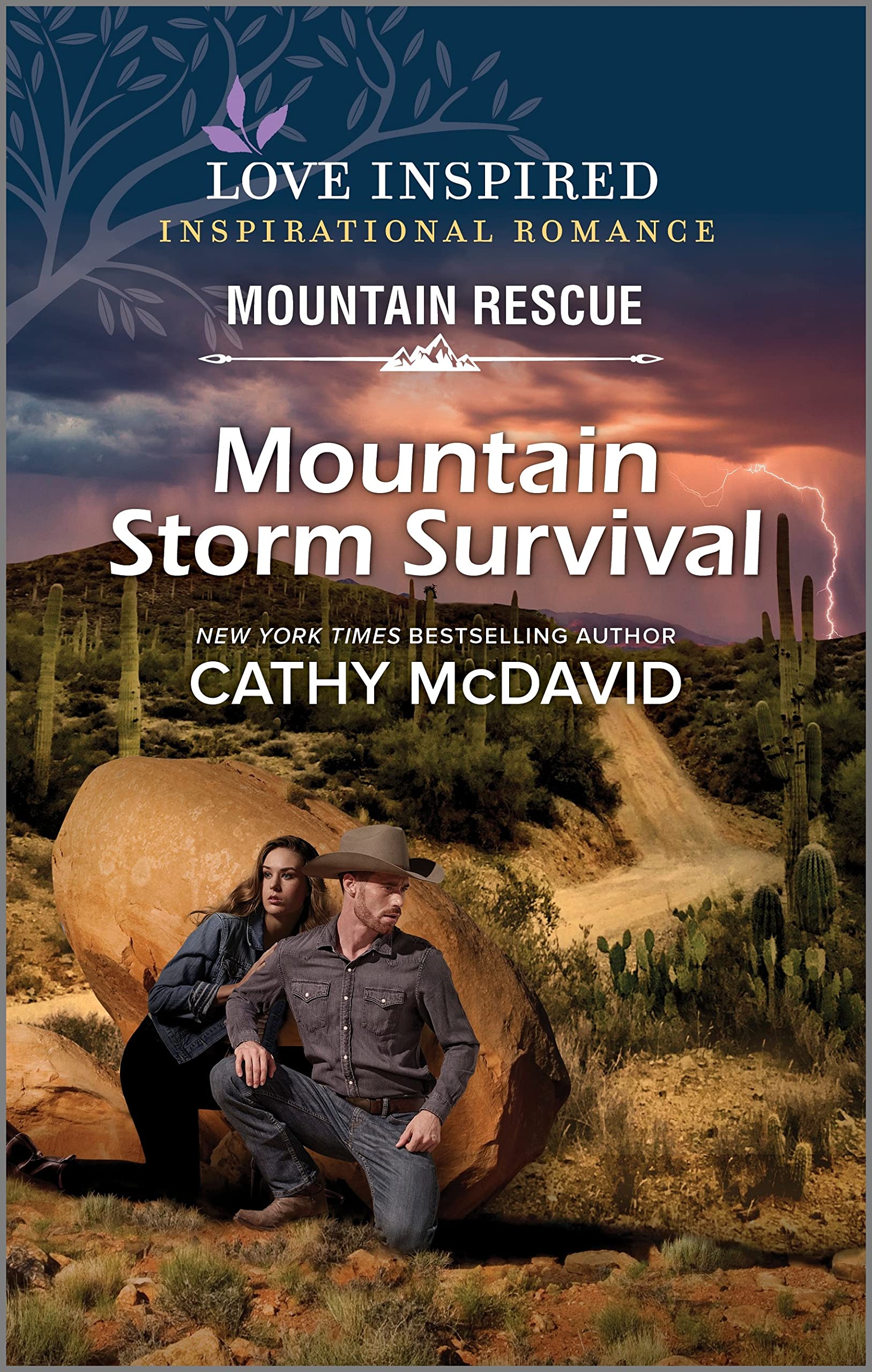Mountain Storm Survival: A Clean Western Suspense Romance