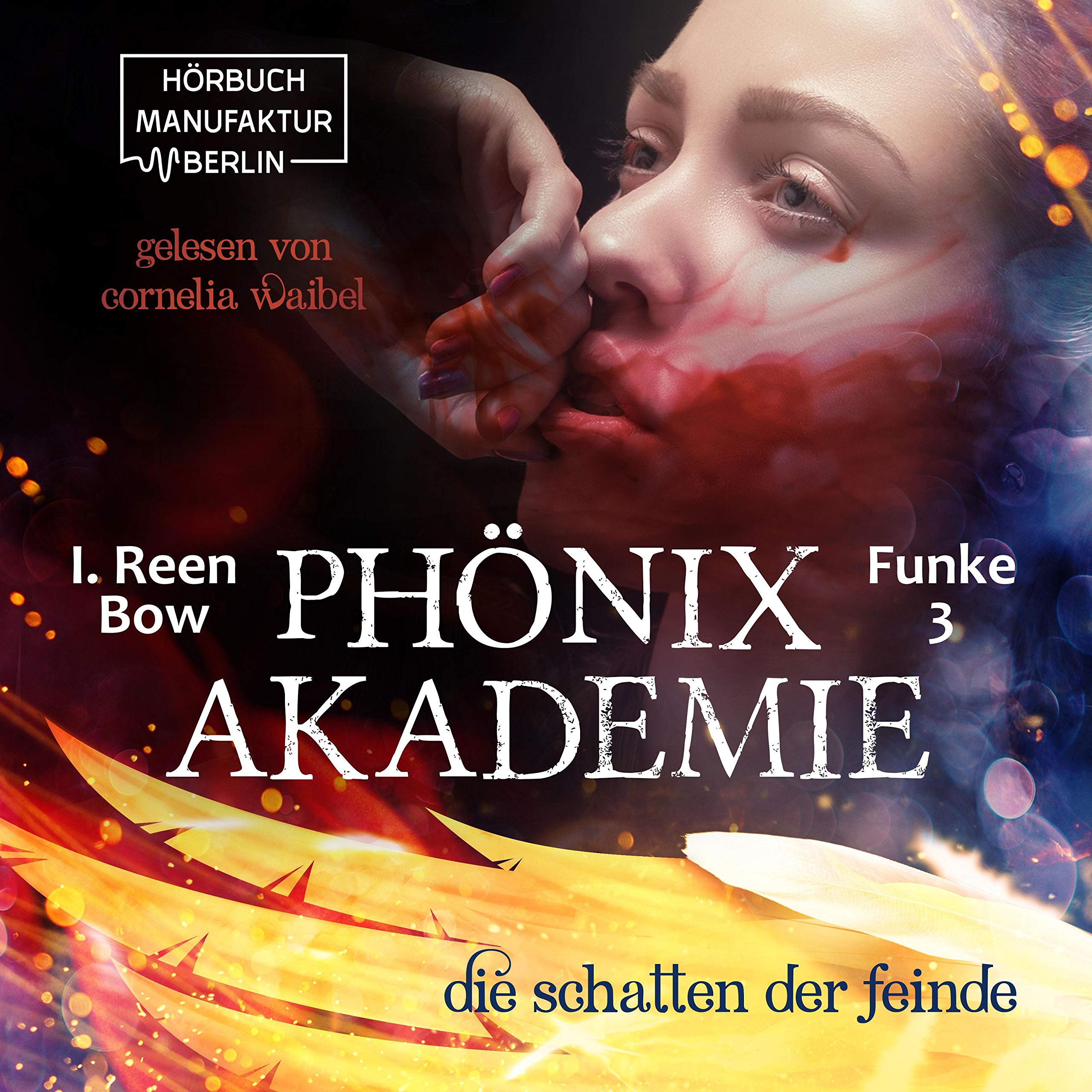 Cover art for Die Schatten der Feinde
