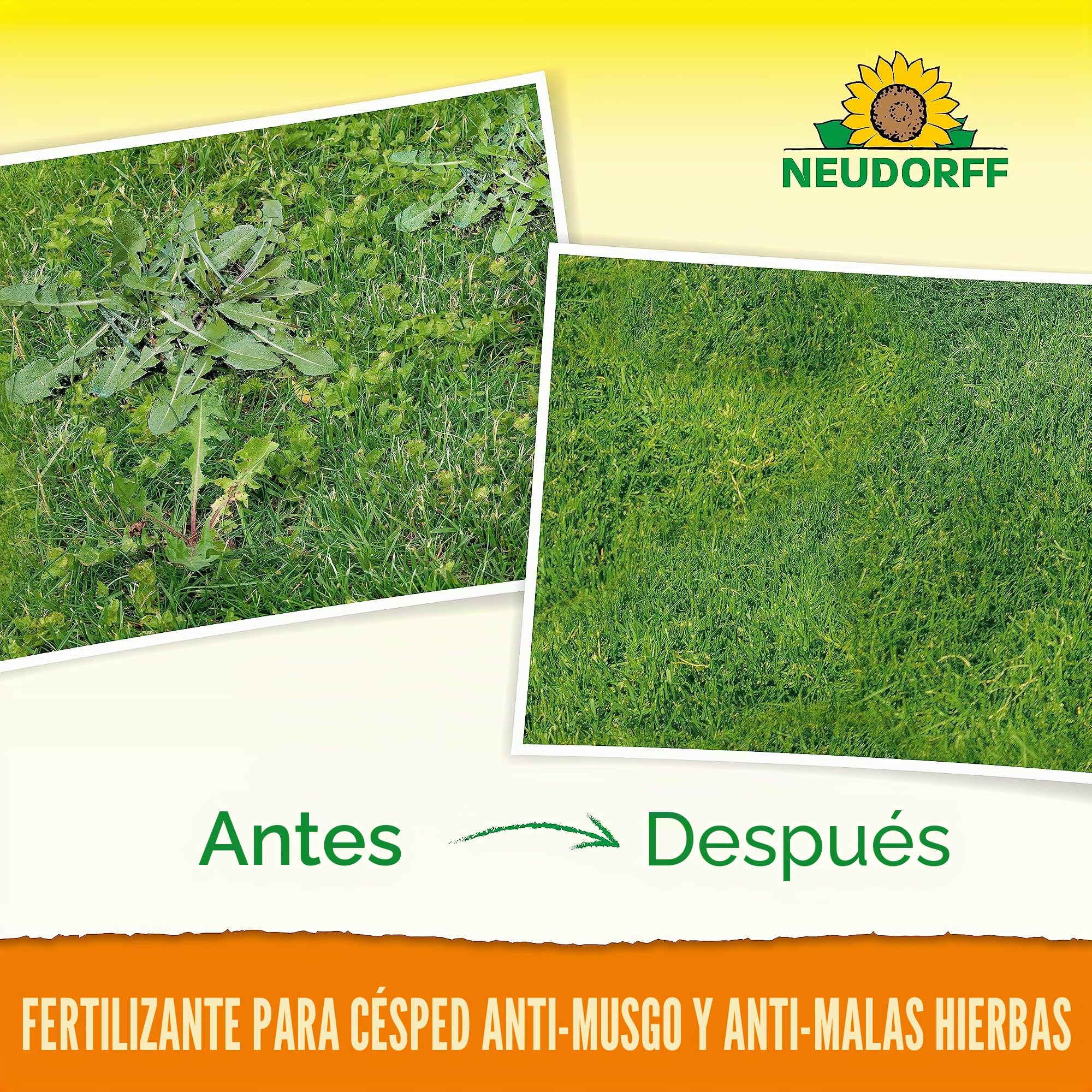 Neudorff Fertilizante para Césped Con Hierro y Potasio - Elimina Musgo y Malas Hierbas, Proporciona un Césped Denso y Verde - 10 kg para 200 m²
