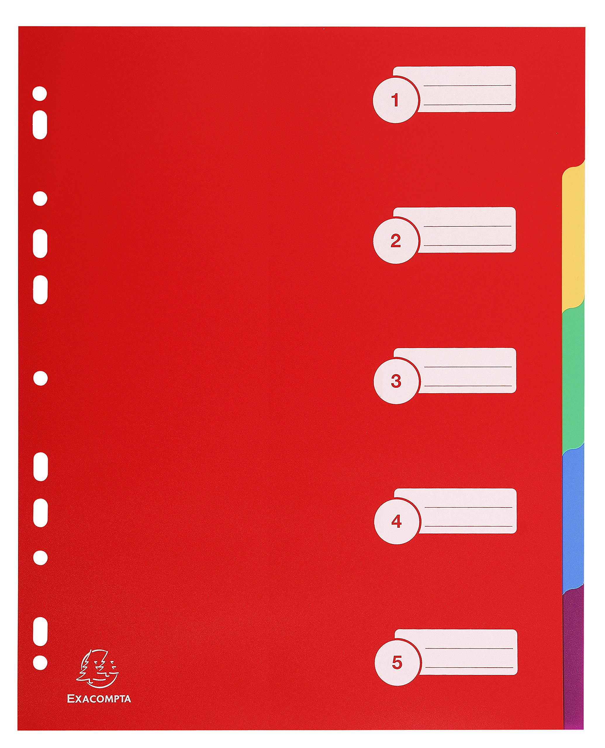 Exacompta - Ref 4805E - PP Document Dividers - Suitable for Use With A4+ Documents, Made from Polypropylene, Pre-Punched & Pre-Printed - 5 Part Dividers - Multicoloured