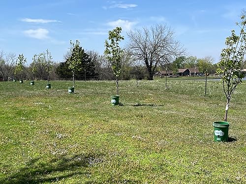 Miniatura 4 de Regador de raíces | sistema de riego STD | 6 unidades | 5 galones