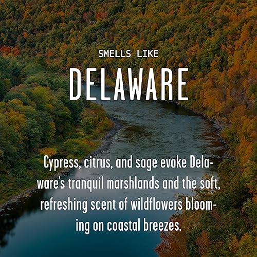 Vista 90 de Regalos de Nueva York, decoración de Nueva York para el hogar – 'There No Place Like New York Candle, con manzana jugosa, canela y calabaza I New