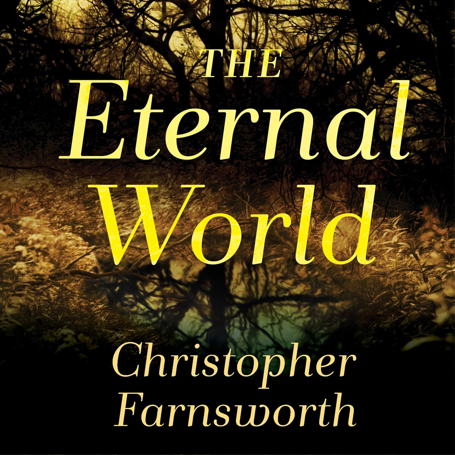 The Eternal World: A Novel