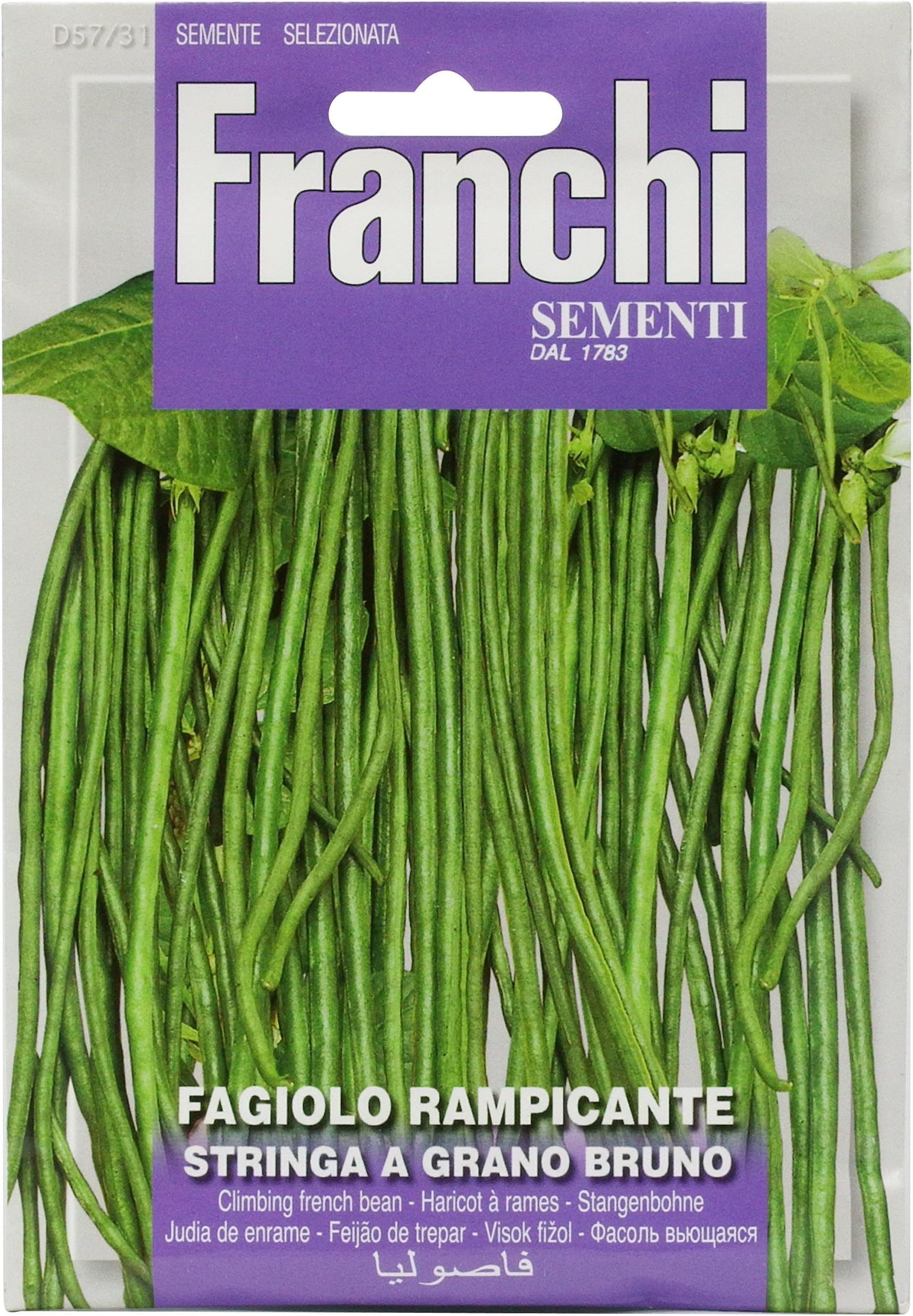 Franchi Stringa Bean