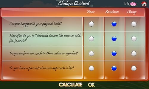 Chakra Yoga and Meditation