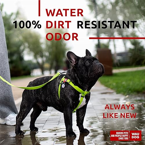 Miniatura 2 de WAUDOG Arnés impermeable para perro, arnés ajustable para perros grandes, pequeños y medianos, arnés resistente con cierre de metal duradero y