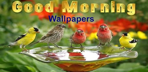Good Morning Wallpapers – vue 5