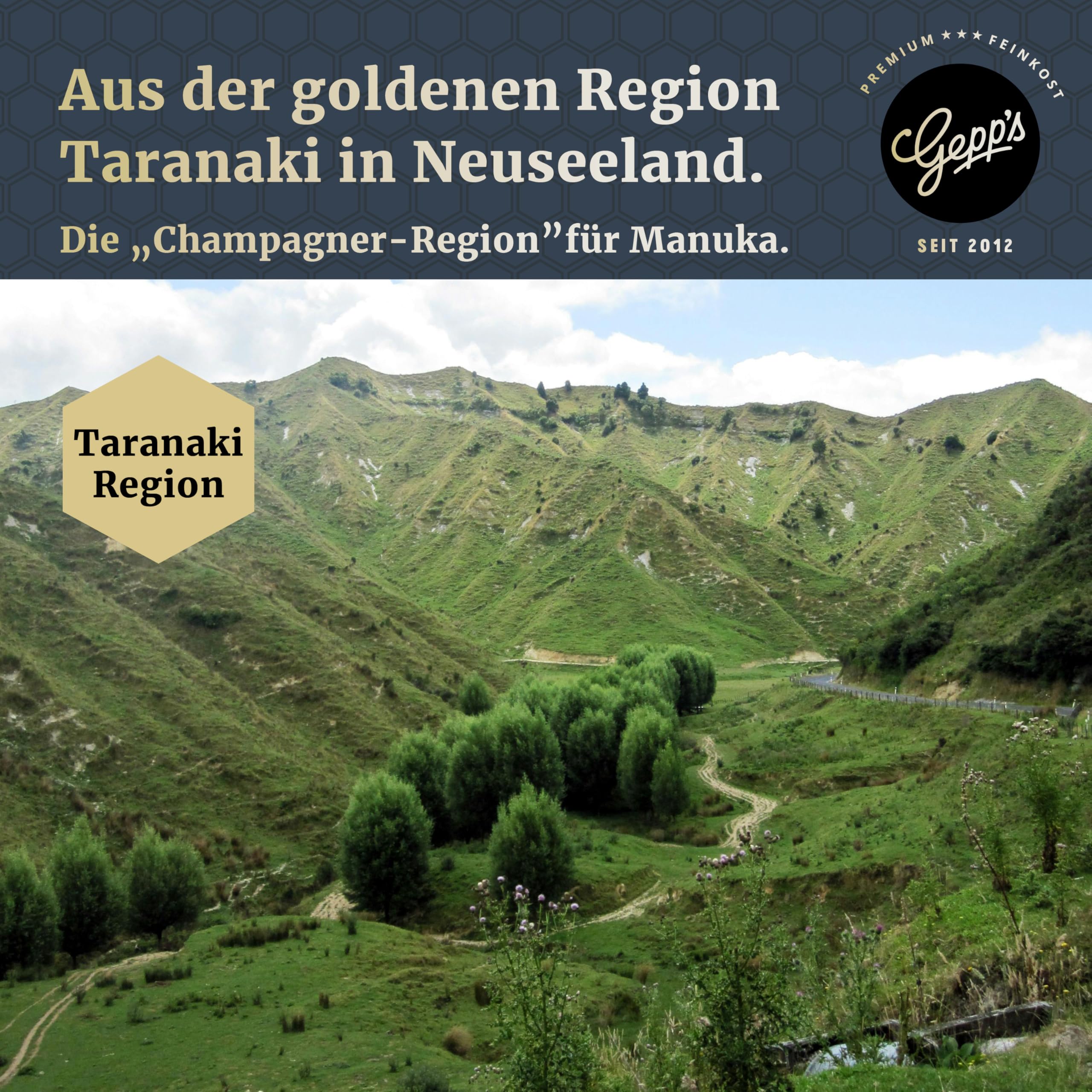 Gepp's Feinkost Manuka Honig 500 g, hohe Reinheit von 514+ MGO I Manuka-Honig aus Taranaki, Neuseeland I Superfood Manuka, cremig & aromatisch I Preisgekrönter & IfV-zertifiziert
