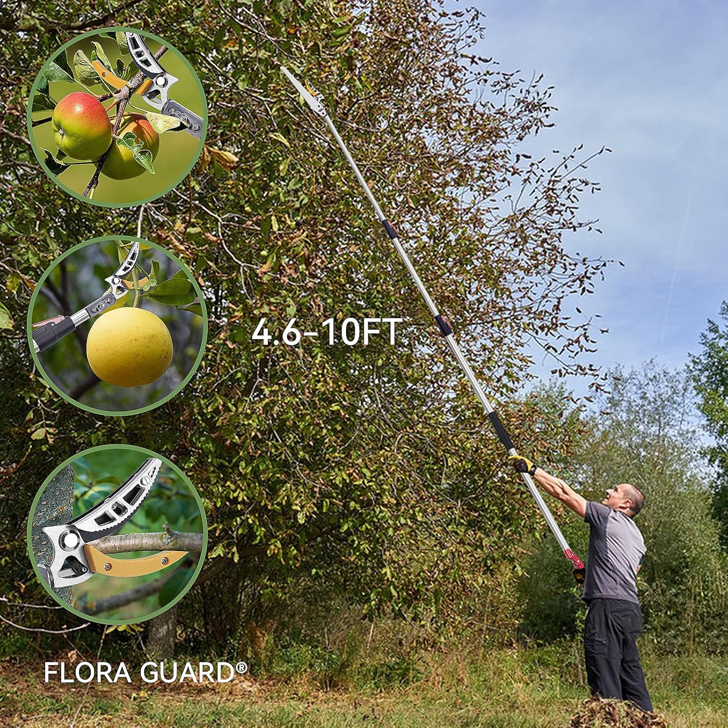 FLORA GUARD 4.6-10ft Extendable Tree Pruner，Cut and Hold Pruning Trimmer - Long Reach Pole Saw, Telescoping Fruit Picker, Branches Bypass Lopper - Lightweight Tree Trimmers Long Handle Pruner - Image 5