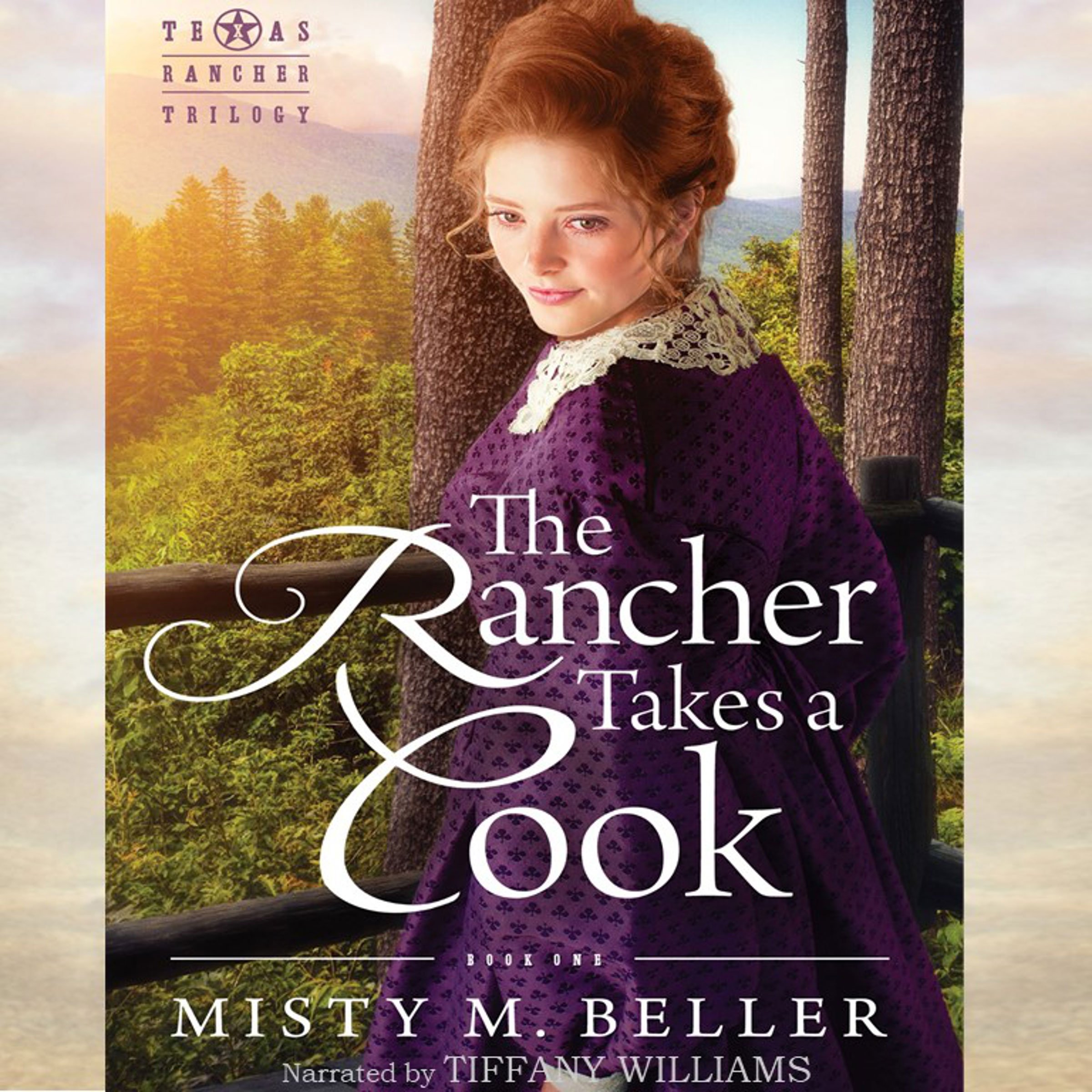Cover art for The Rancher Takes a Cook