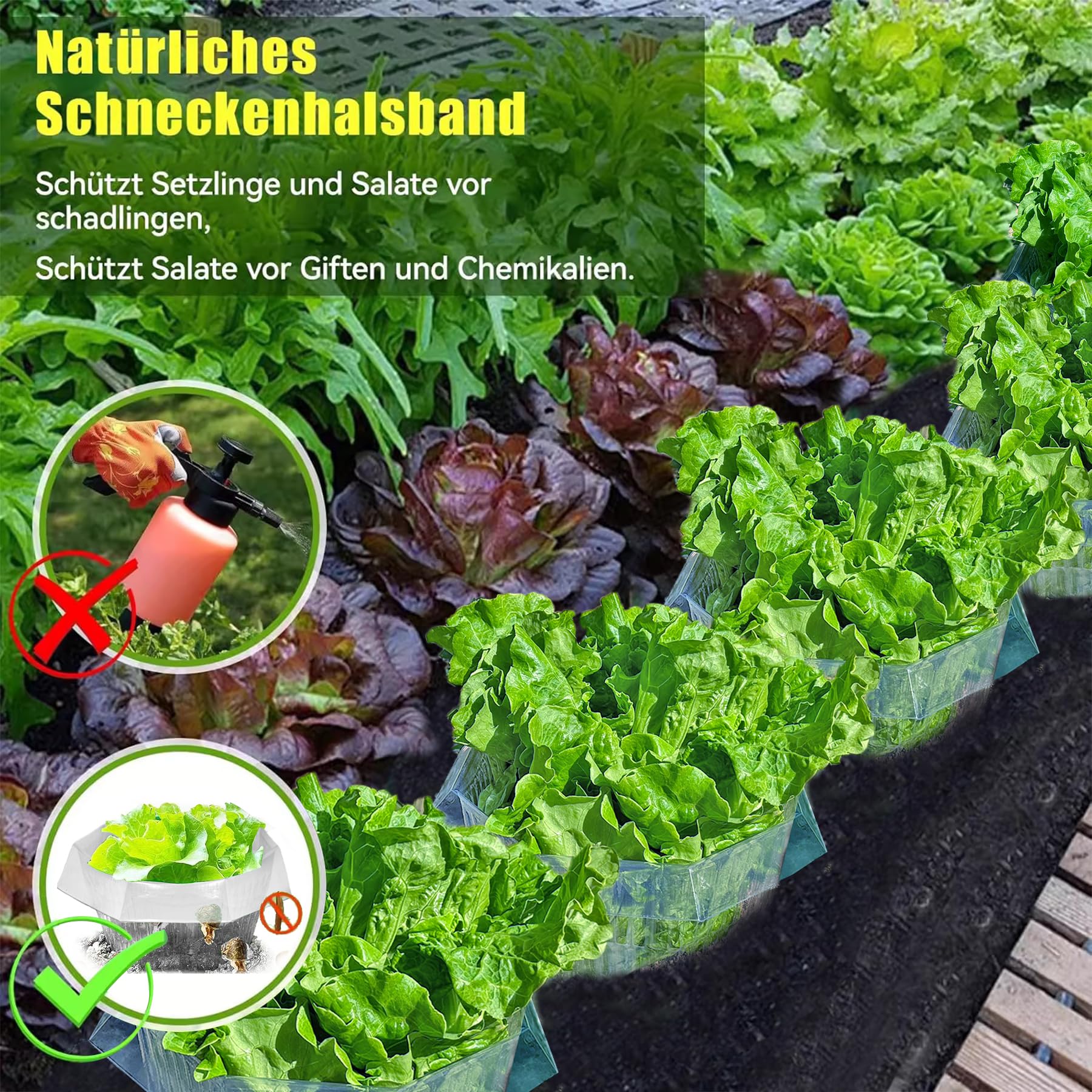Colliers Anti-Limaces et Escargots, Anneaux Anti Limaces Efficaces, Protection Plantes Contre Escargots, 20 Pièces