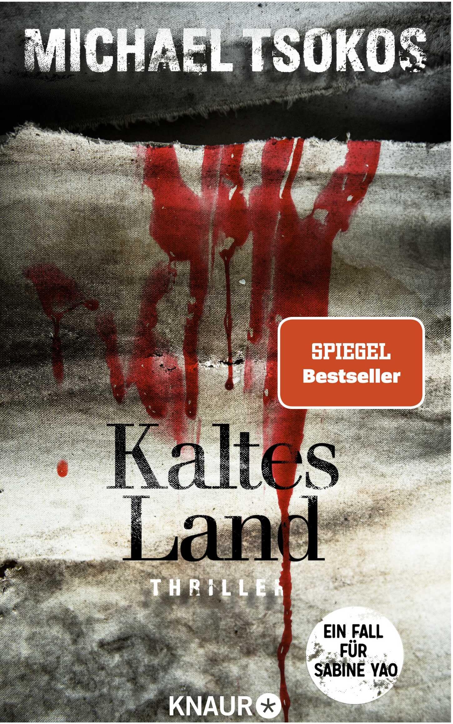Kaltes Land: Ein Fall für Sabine Yao