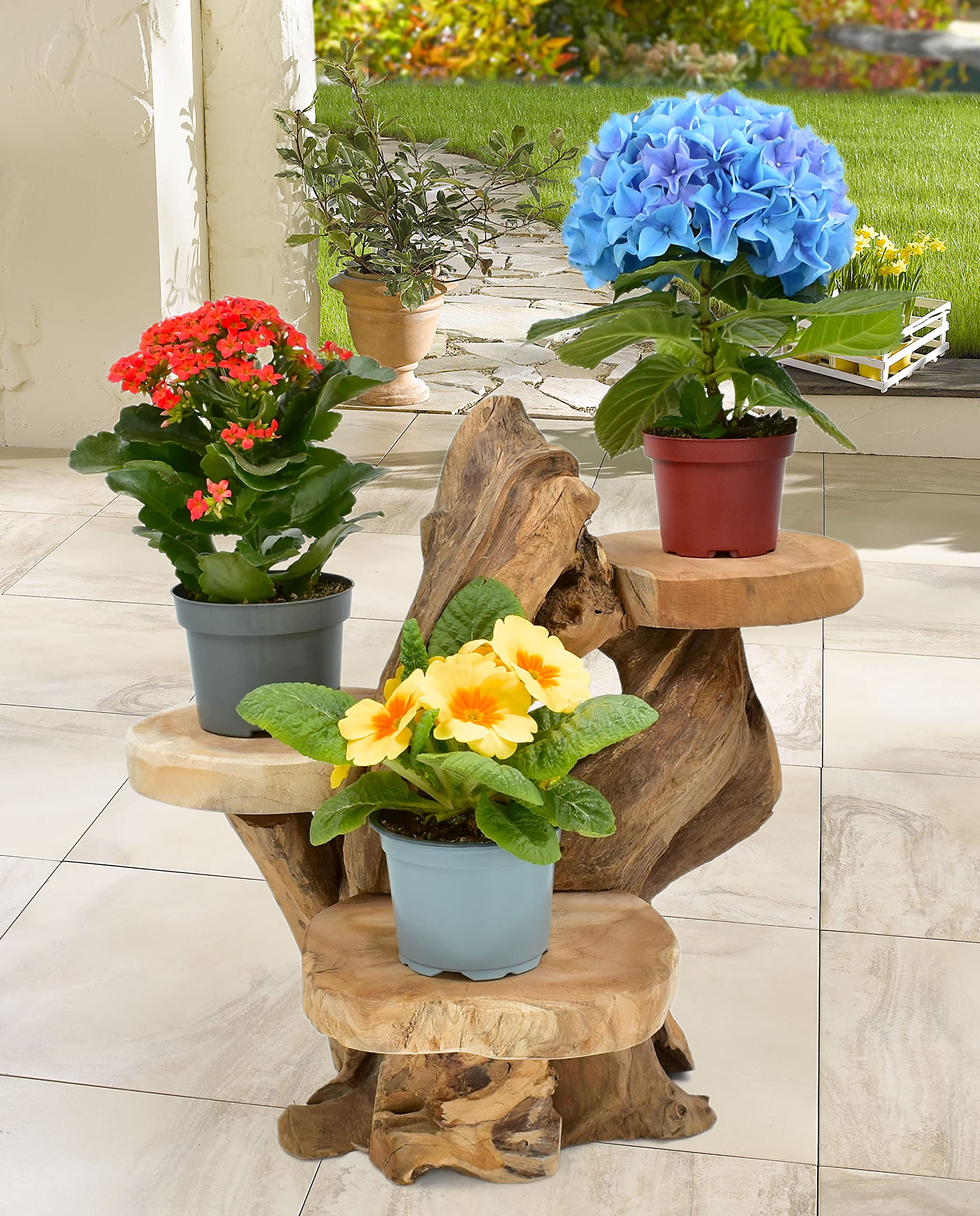Teak Blumenständer mit 3 Ablagen Blumenpodest Pflanzentreppe Blumenregal Ständer Blumenhocker Massiv Holz Podest Regal