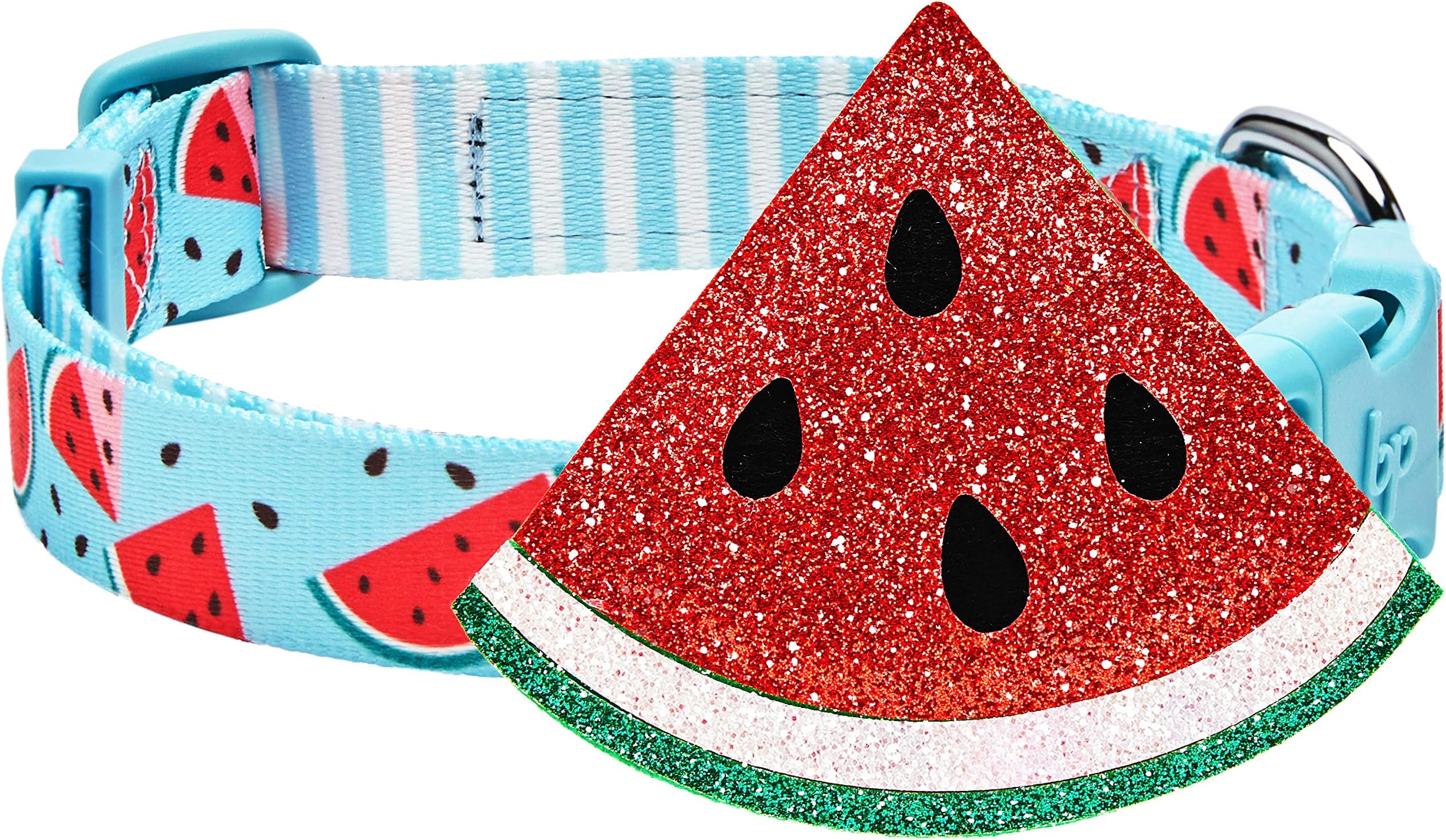 Blueberry Pet Pack of 2 Multiple Patterns Mix and Match