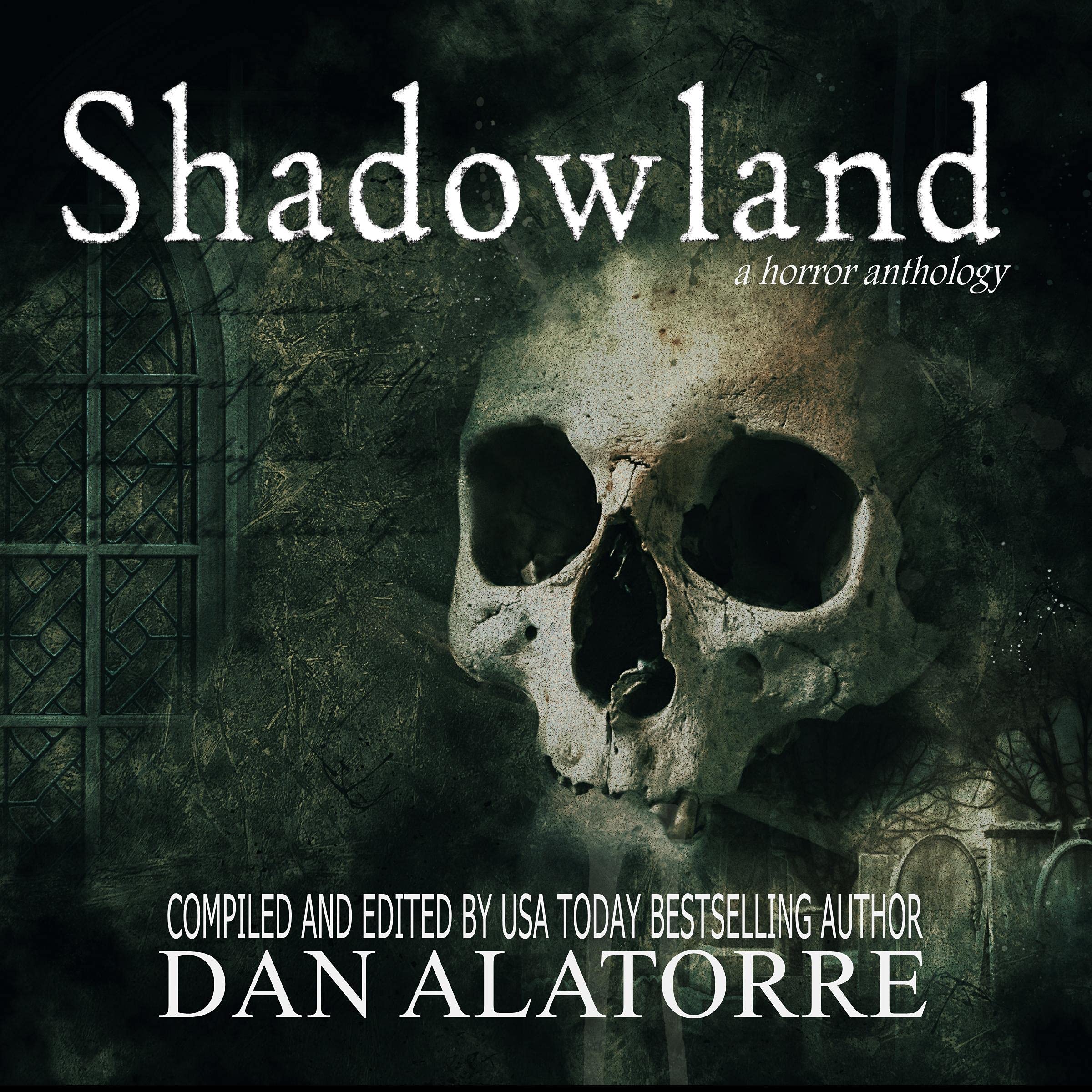 Cover art for Shadowland
