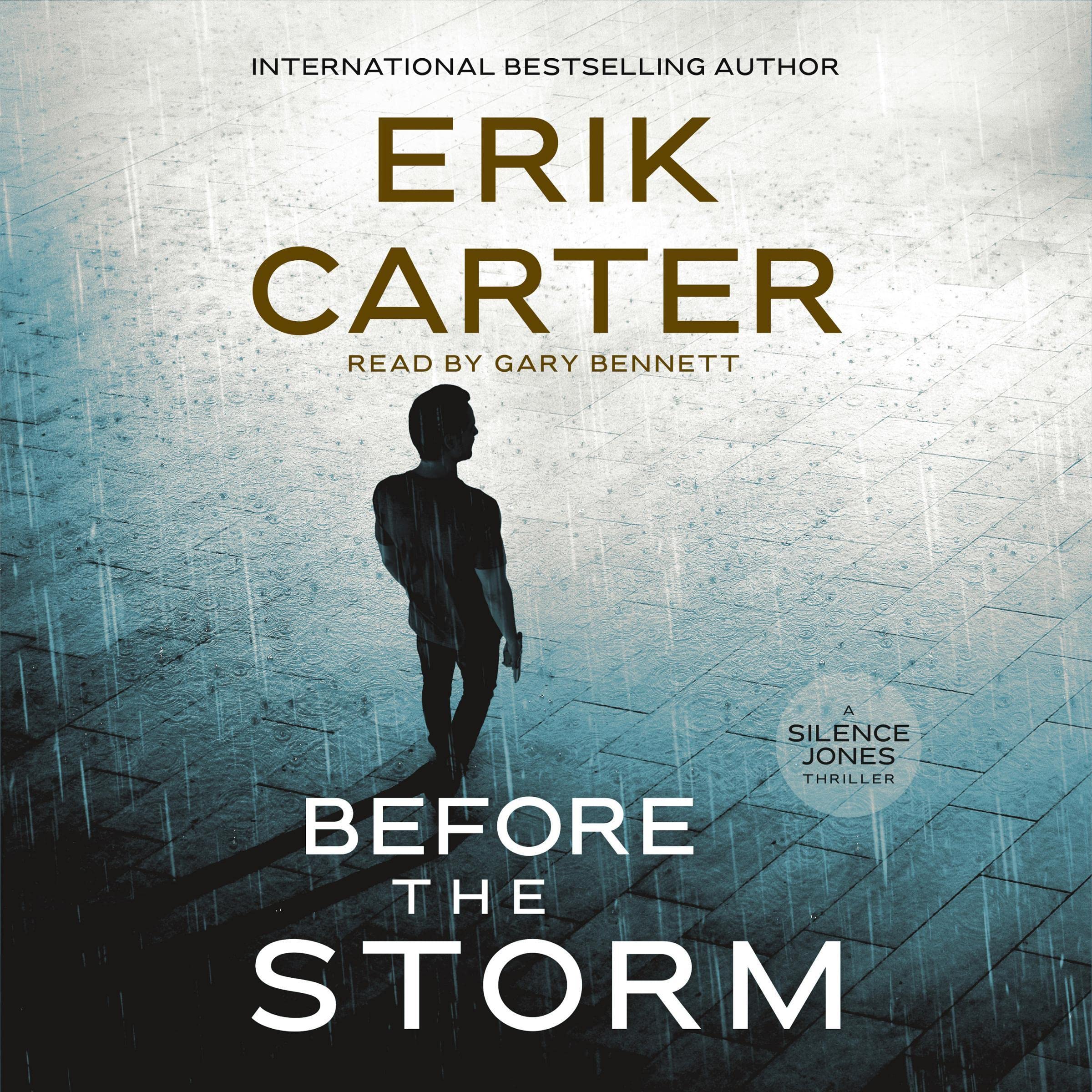 Cover art for Before the Storm