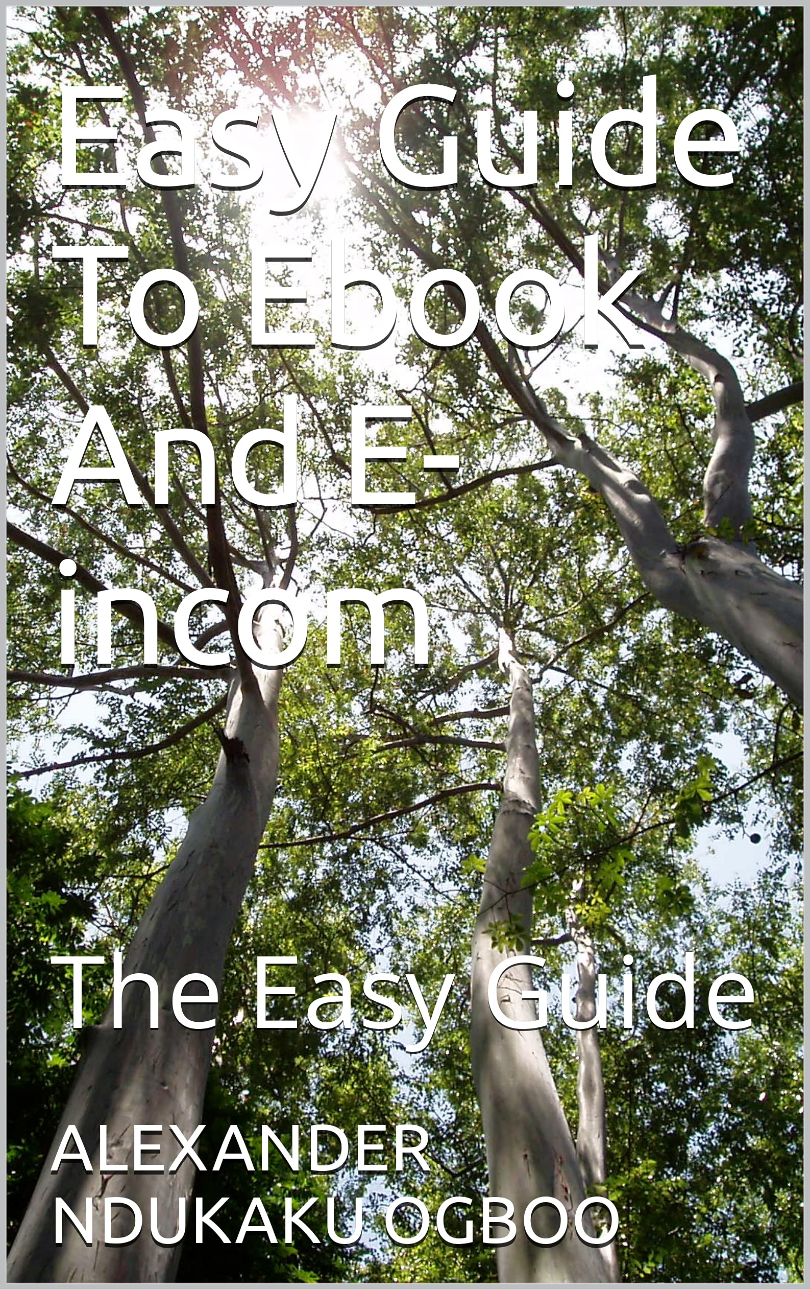 Easy Guide To Ebook And E-incom: The Easy Guide