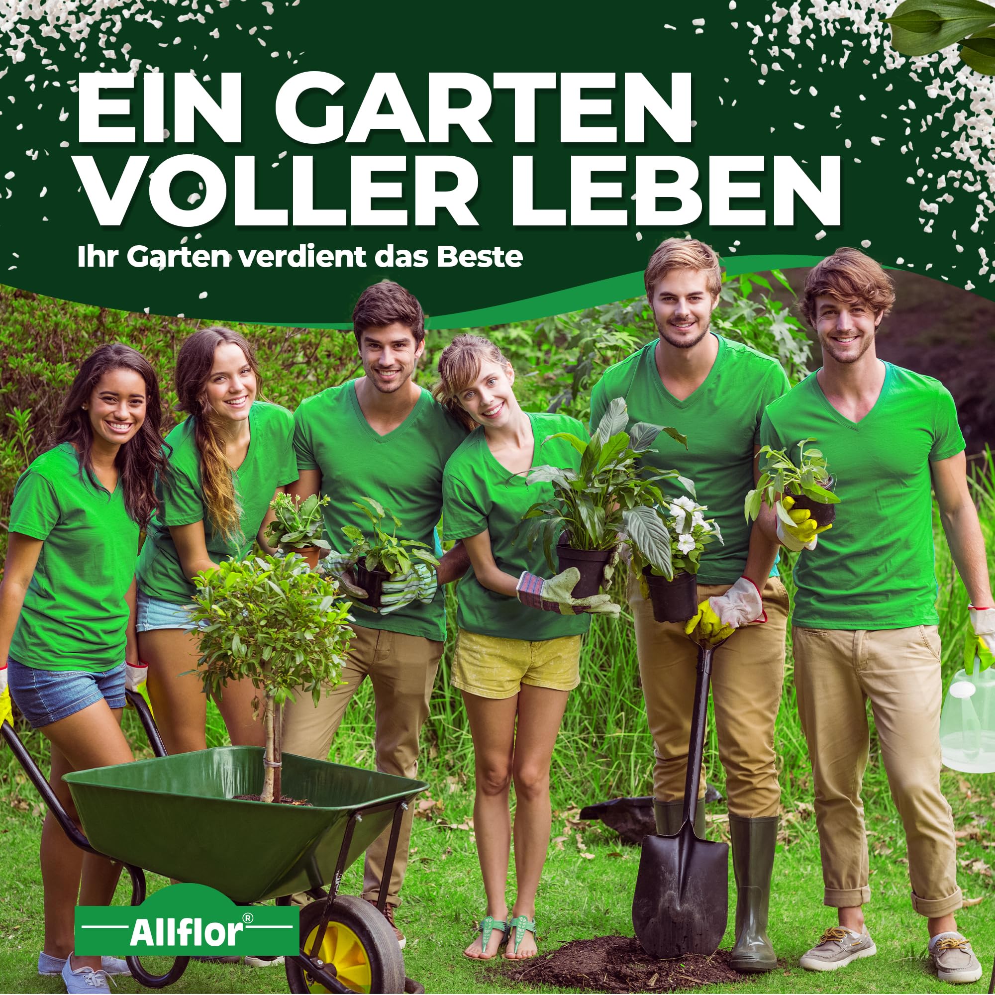 Allflor Bittersalz mit 16% Magnesium I 1 x 10 Kg I Bittersalz gegen Braunfärbung an Nadelbäumen und Hecken I Salzdünger für Blattgrünbildung I Zur Blatt- und Bodendüngung