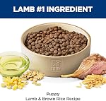 Hill's Science Diet Puppy Lamb Meal & Brown Rice Recipe Dry Dog Food 11.34 kg Bag
