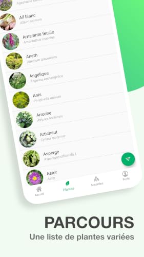 GIY Permaculture – vue 5