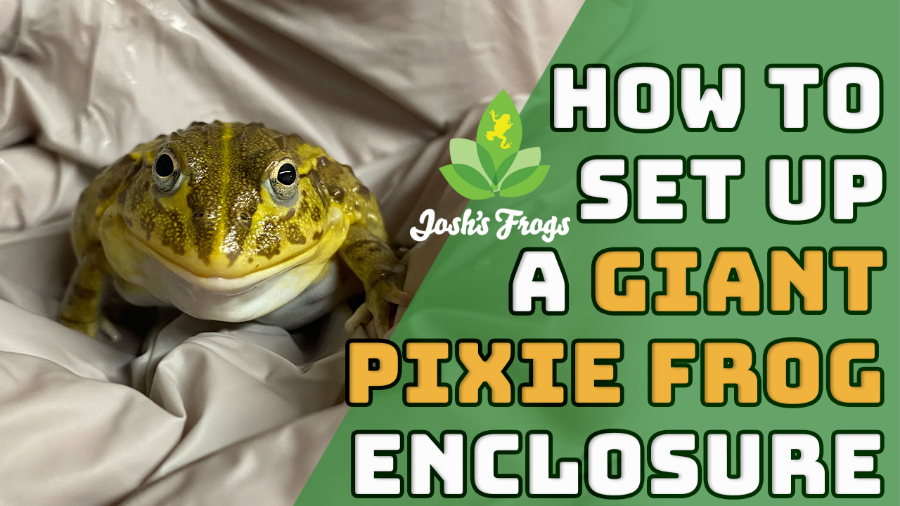 Amazon.com: Josh's Frogs Coco Select (10 quarts) : Pet Supplies