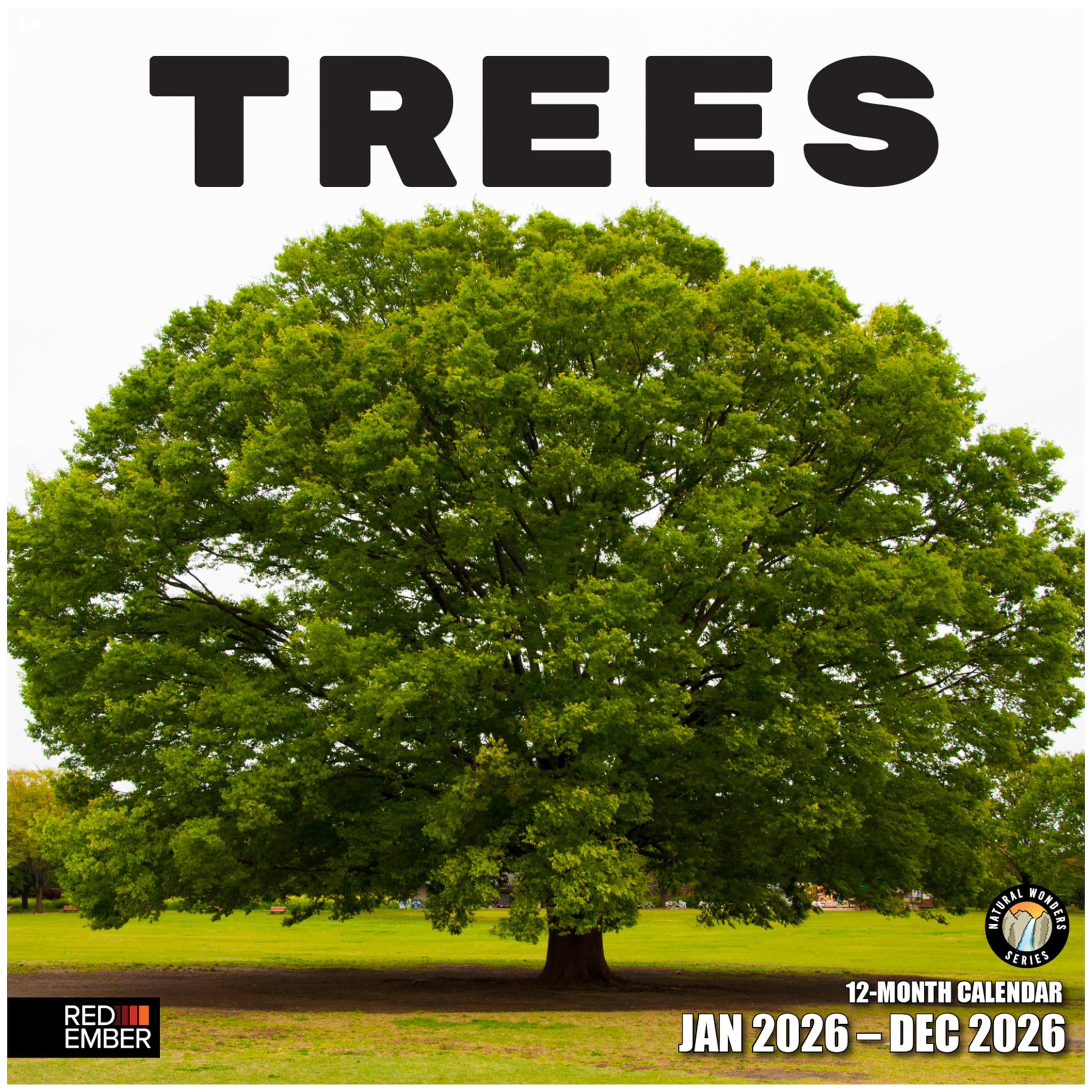 RED EMBER Trees 2026 Wall Calendar 12 Month | 12" x 24" Open | Thick &amp; Sturdy Paper | Giftable | Nature Calendar 2026