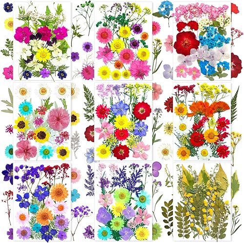 Miniatura 10 de 150 piezas de flores secas prensadas para resina, flores naturales reales en bulto para manualidades artísticas DIY, moldes de epoxi, joyería,