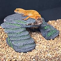 Vista 2 de PENN-PLAX Reptology Shale Scape Step Ledge, resina decorativa para acuarios y terrarios, ideal para reptiles, anfibios y peces, tamaño pequeño