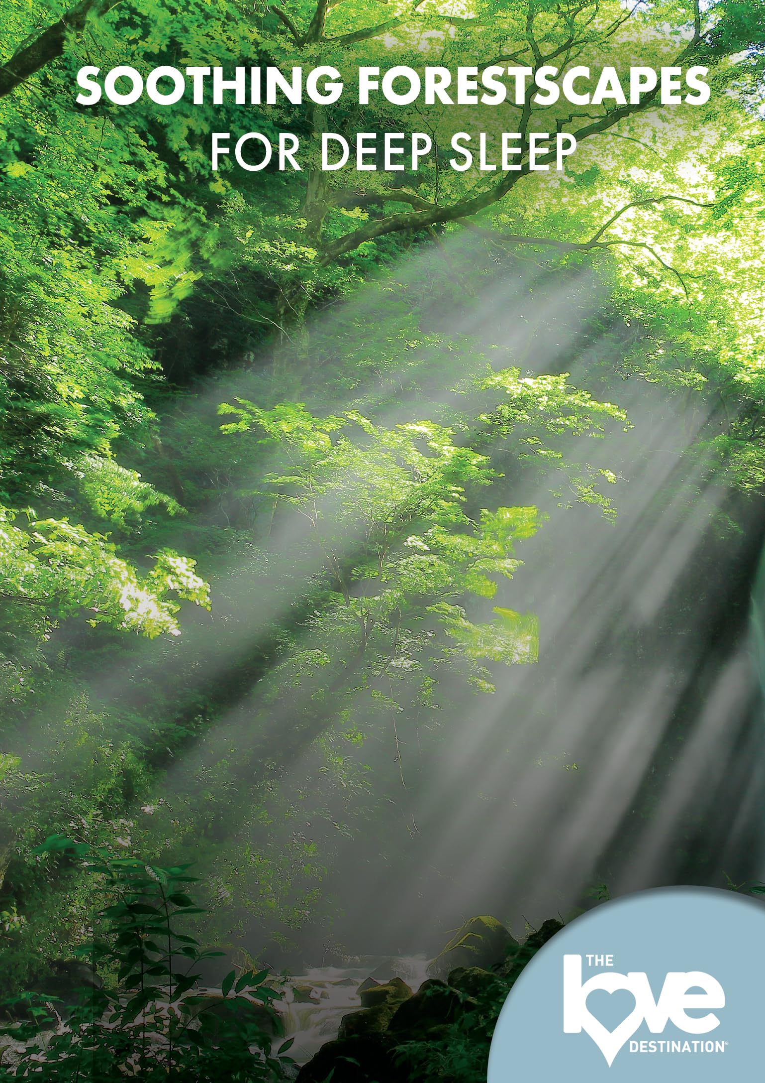 Feature Film The Love Destination Courses: Soothing Forestscapes For Deep Sleep