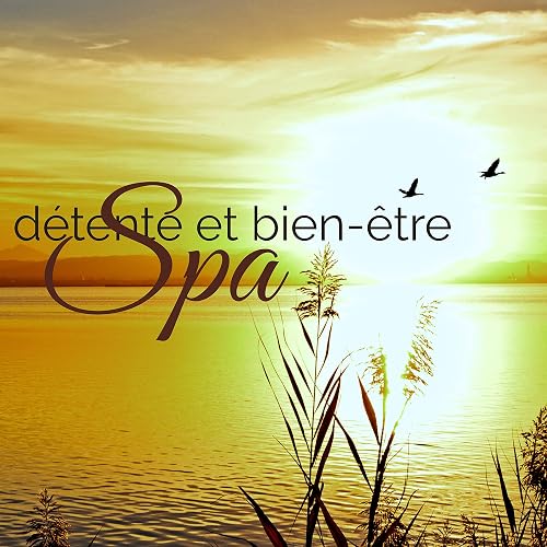 Spa Detente Et Bien Etre Musique D Ambiance Pour Espace Emotionnel Relaxation Zen Avec Musique Anti Stress Pour Massage Sauna Et Meditation Yoga By Coffret Bien Etre Enyalie On Amazon Music Amazon Com