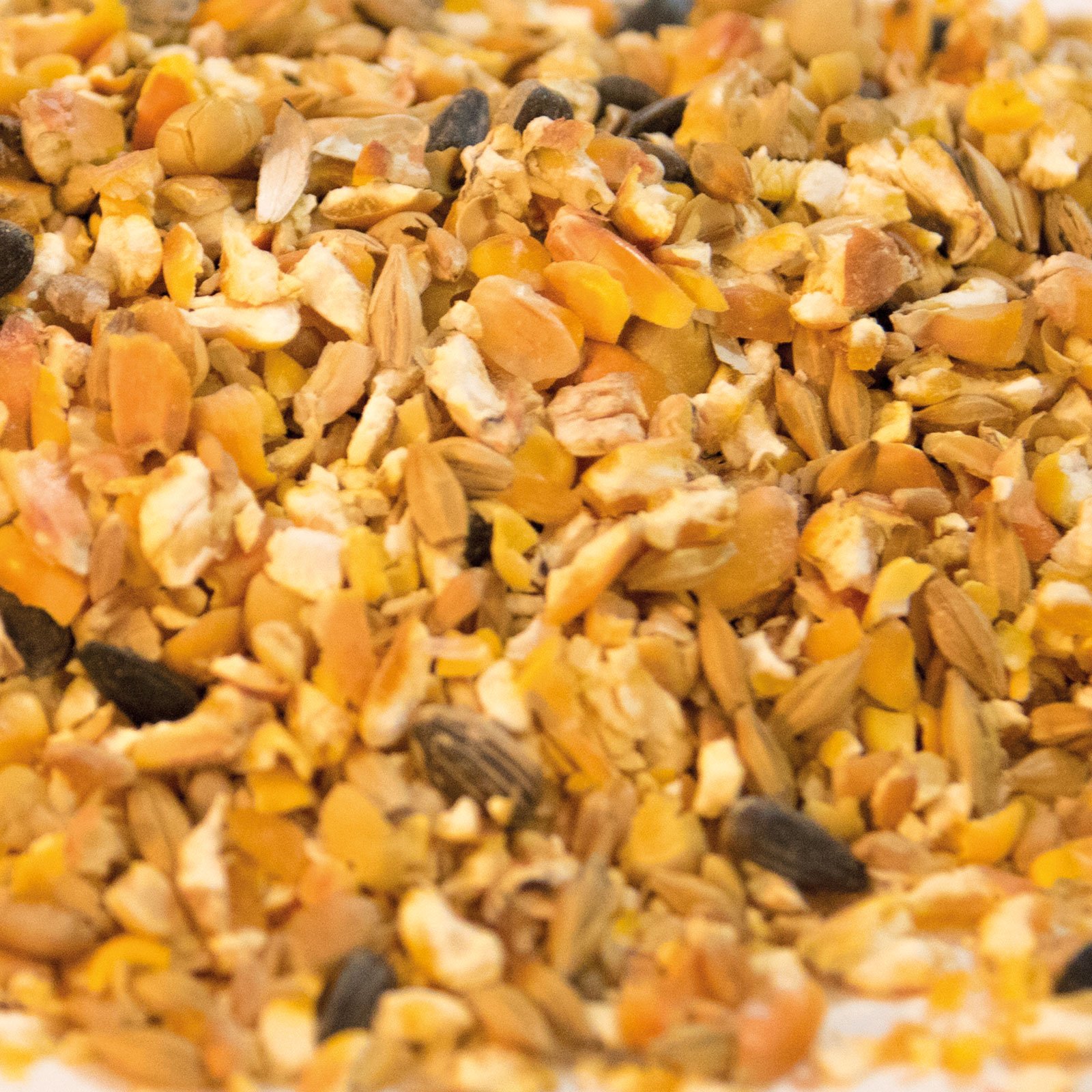 Karner Bio Entenkorn im 9kg Sack für Wassergeflügel