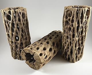 Chain Fruit 6 Inch Chain Fruit Cholla Wood Medium Pleco Shrimp Hermit Cichlid Crab Aquarium Decor Driftwood Chew Toys Organic (2" x 6" (pack of 4), Natural)