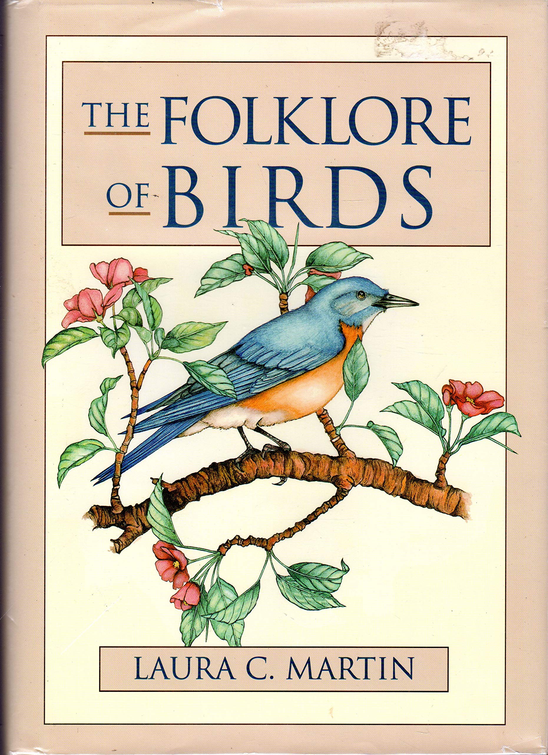 洋書 The Folklore of Birds Laura C. Martin Folklore of Birds : Martin, Laura C: Amazon.ae: Books