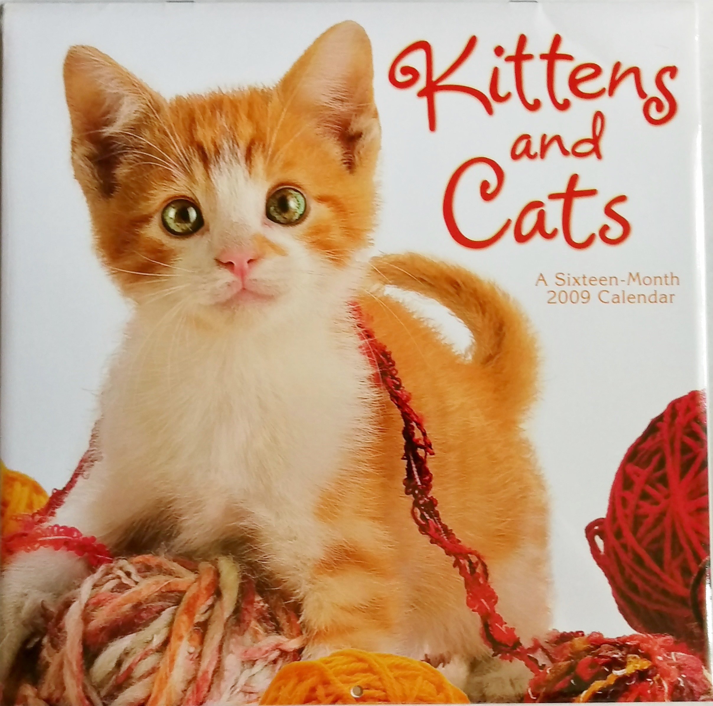 Kittens and Cats 2009 Calendar