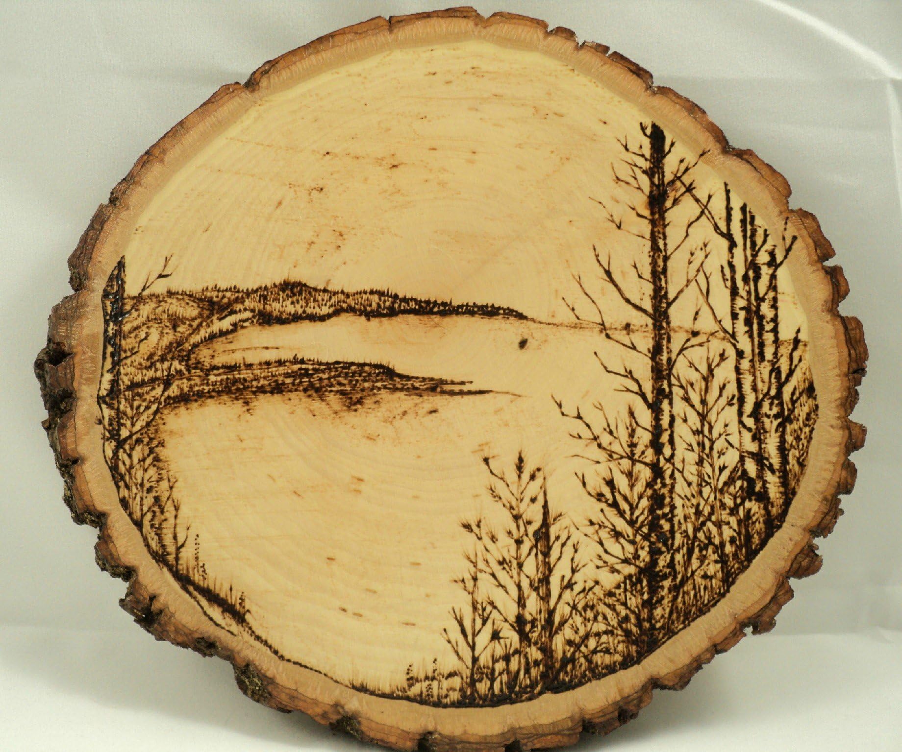 Woodburned Wooden Tree Slice Rustic Lake Landscape Wall Art