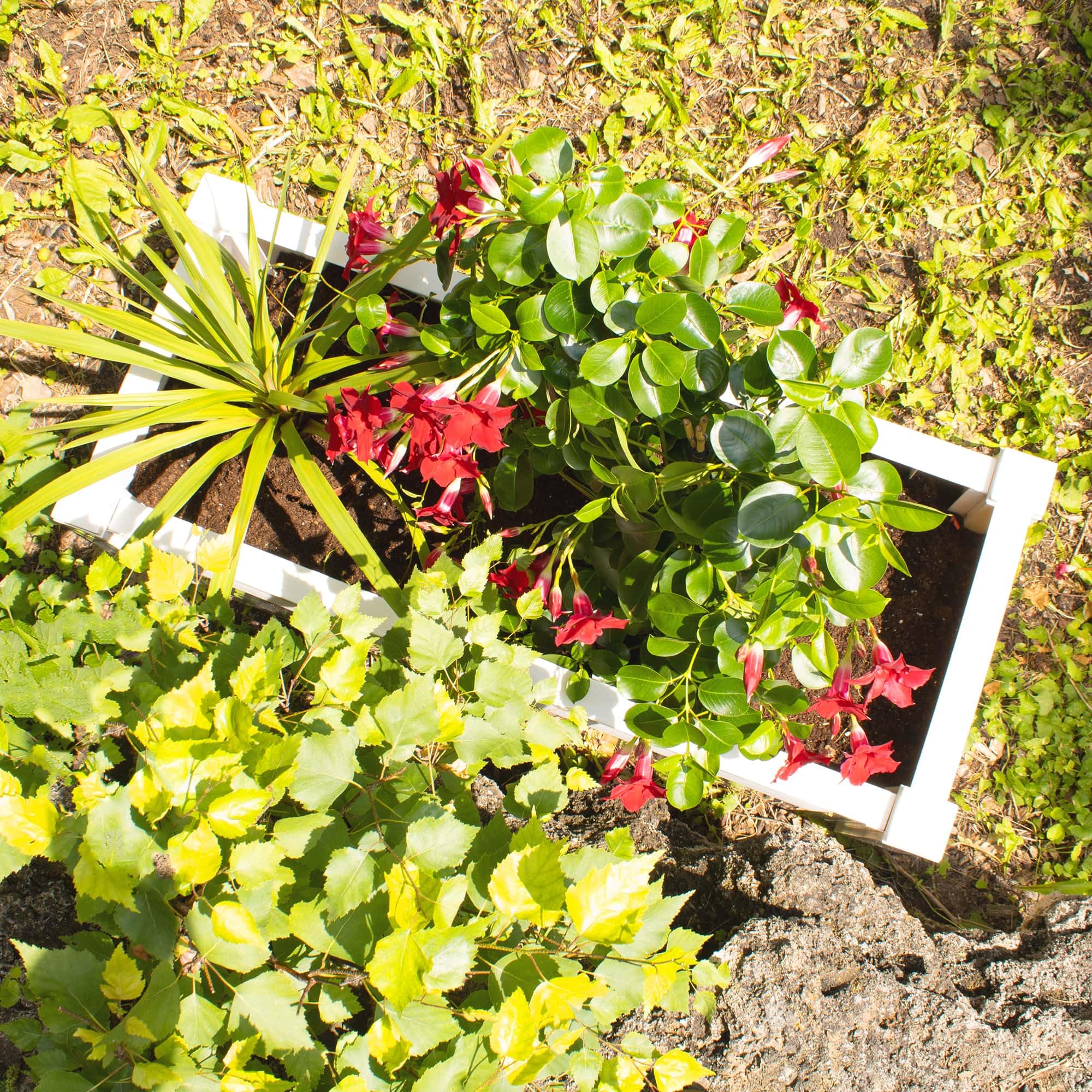 blumenkasten terrasse hoch Leichter, rechteckiger Blumenkasten für Terrasse & Garten – Flexi-Design  Blumenkasten – Potflex