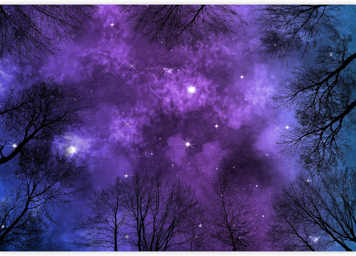 wall26 - Low Angle View of Colorful Nebula on Starry Night Sky in Forest, View Through Trees, Background - Removable Wall Mural | Self-Adhesive Large Wallpaper - 66x96 inches