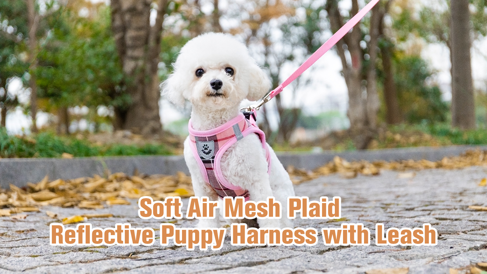 Soft Mesh Plaid Puppy Harness - Small Dog Harness and Leash Set, Adjustable & Comfortable Padded Reflective Vest for… - Image 7