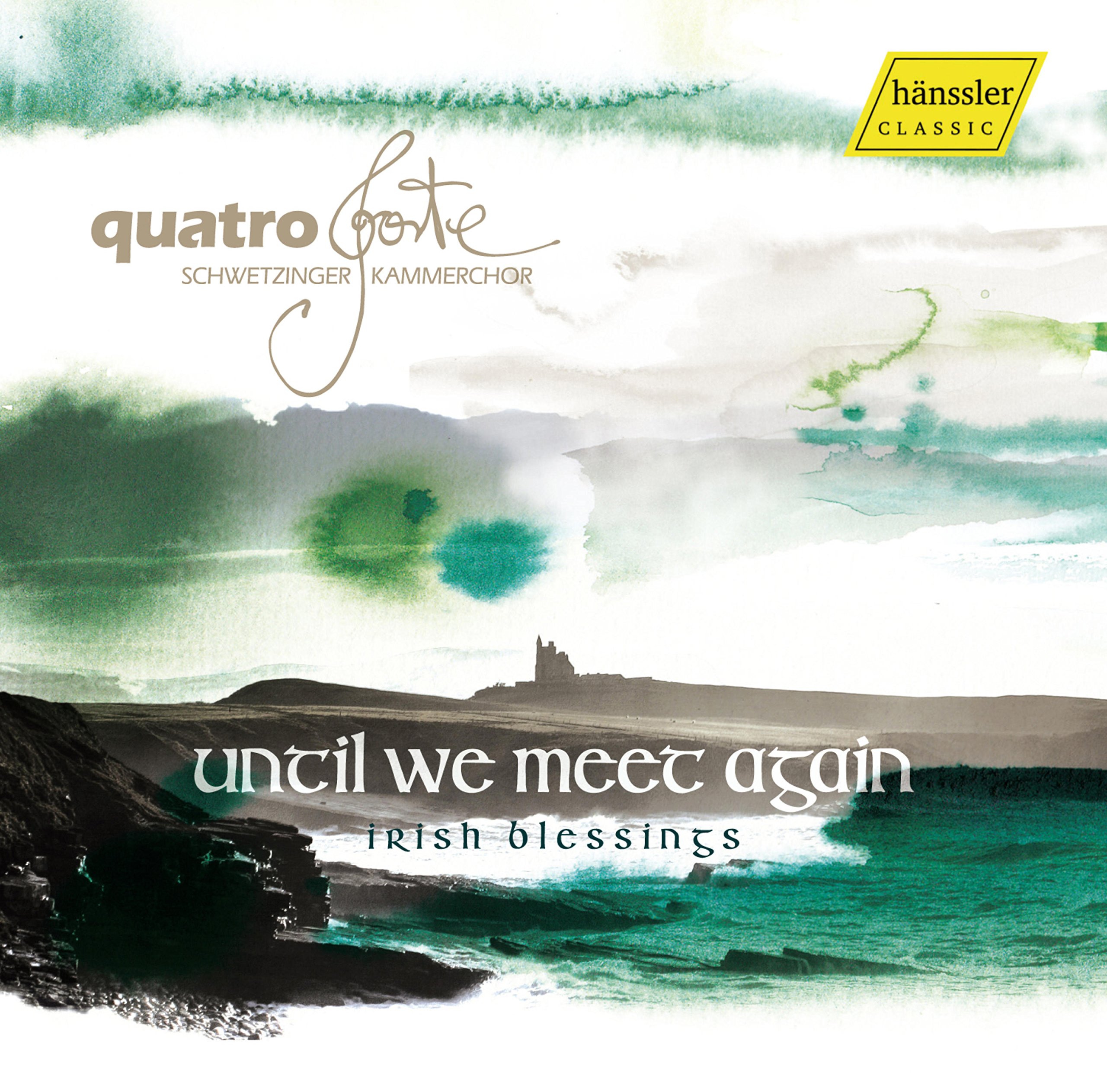 Until we meet again - Irish Blessings