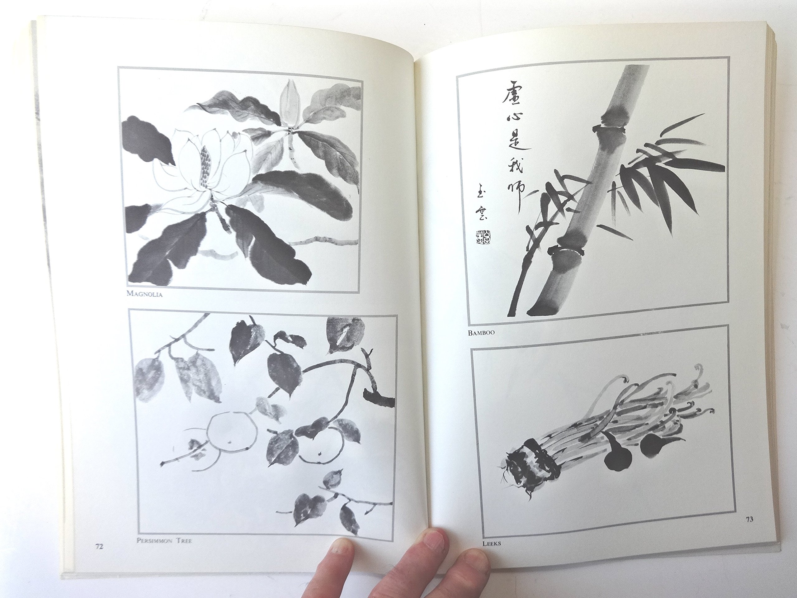 Complete Sumi-e Techniques