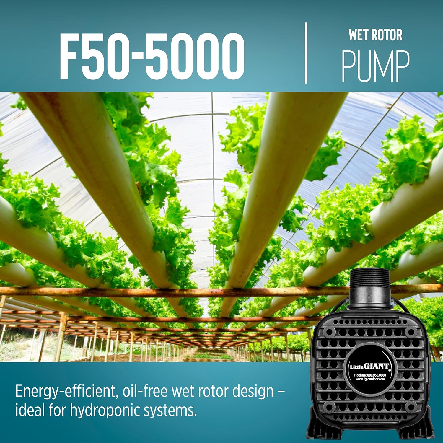Little Giant F50-5000 5020 GPH Wet Rotor Pump with 20-Ft. Cord for ponds up to 5000 Gallons, Black, 566728