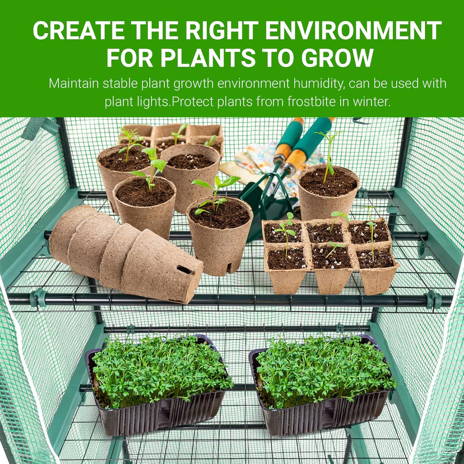 Mini Compact Greenhouse, Small PE Plant Green House with 4 Tier Shelves, Zipper Rolling Door, Portable Outdoor Plant House for Garden Growing Plants, 69 x 49 x 160cm