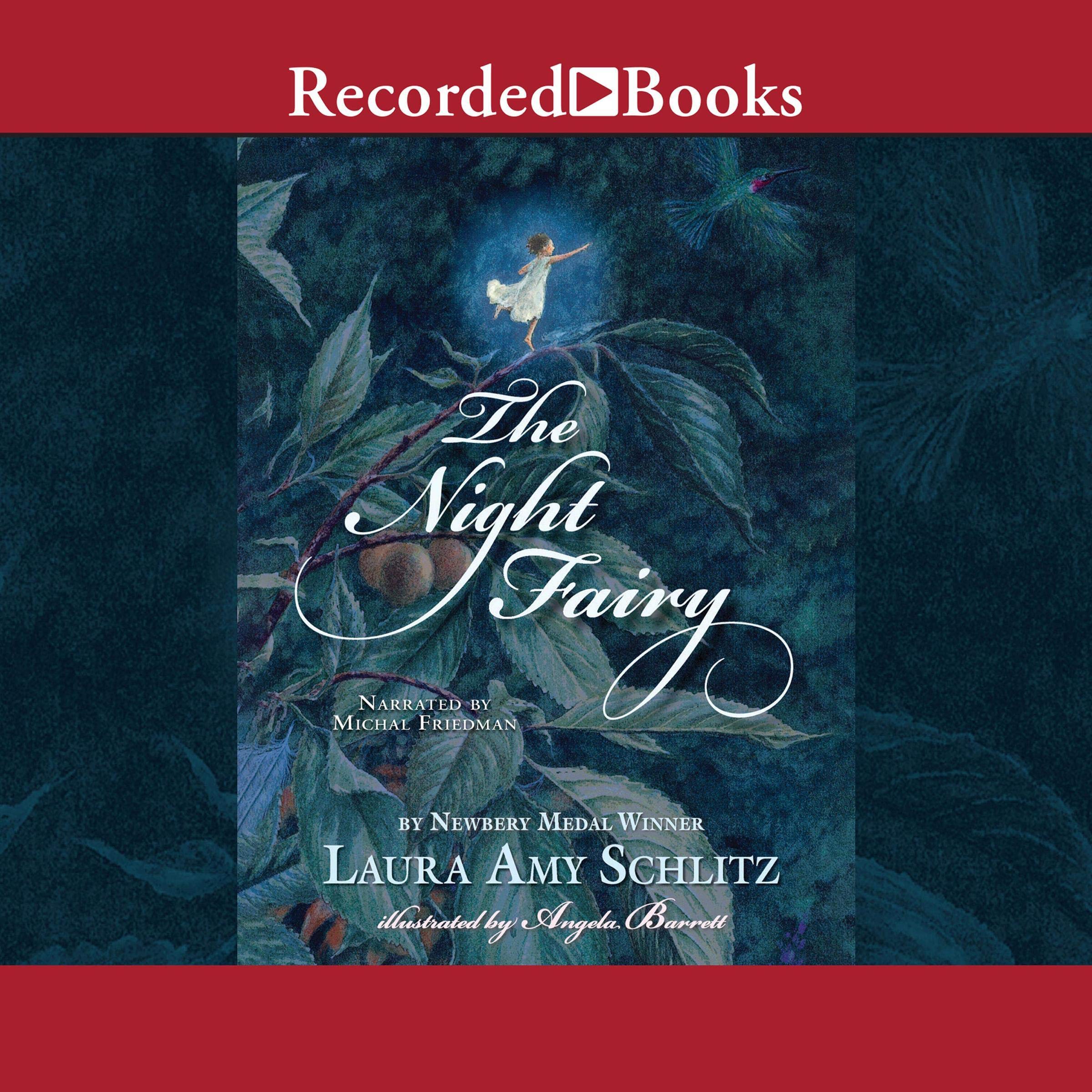 Cover art for The Night Fairy